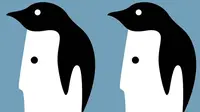 Penguin Atau Manusia? Objek yang Kamu Lihat Bisa Ungkap Kepribadianmu (TikTok/ Mia Yilin)