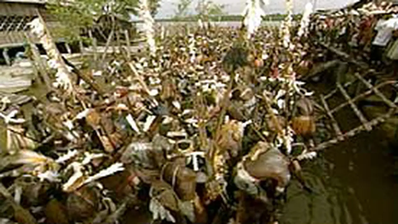 200403bAsmat.jpg