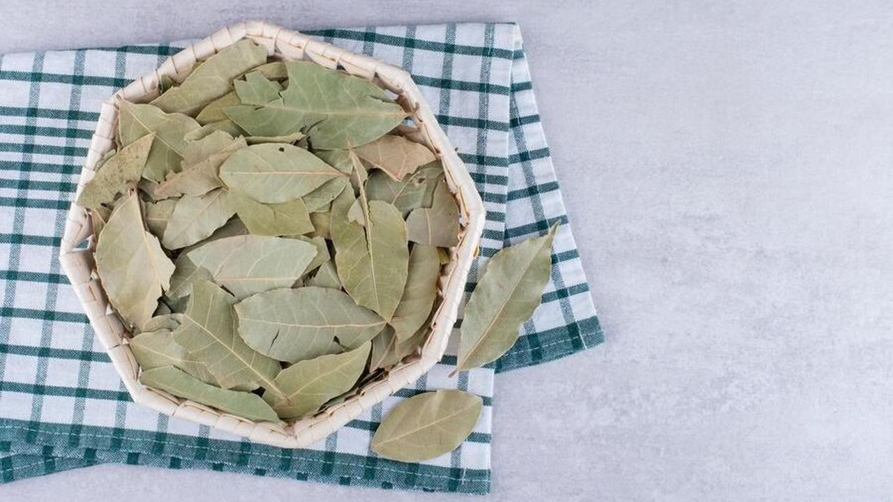 Cara Menyimpan Daun Salam Kering