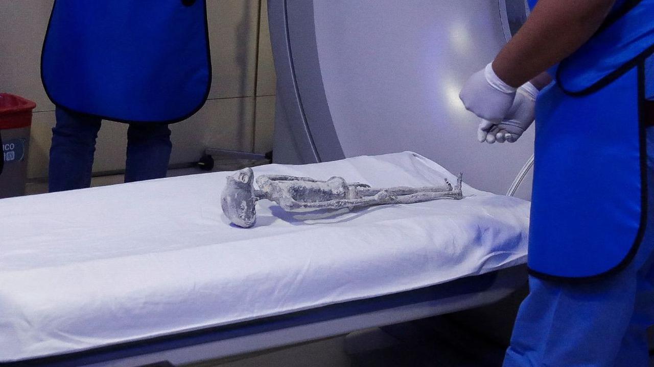 Sementara menurut hasil pemeriksaan X-Ray salah satu dari mumi alien itu mengandung telur.<br>