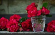 10 Cara Merawat Bunga Fresh Flower agar Tahan Lama, Trik untuk Hadiah Pacar