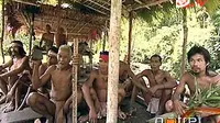 Suku Togutil di Rimba Halmahera