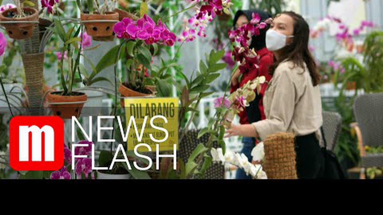 VIDEO: Keindahan Ragam Bunga di Batu Love Garden