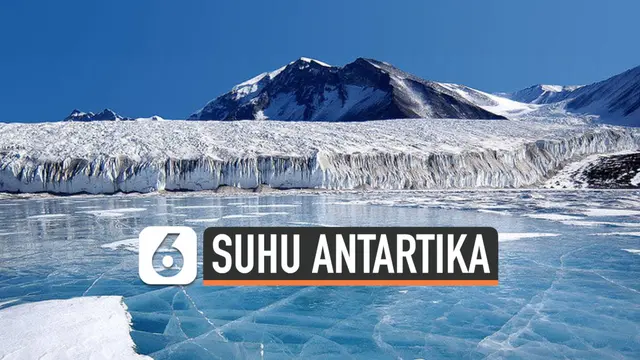 VIDEO: Suhu Antartika Capai Rekor Terpanas