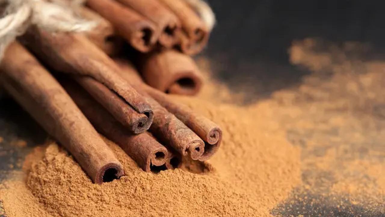 10 Cara Alami Usir Semut Tanpa Bahan Kimia, Langkah Mudah yang Bisa Dilakukan Sendiri
