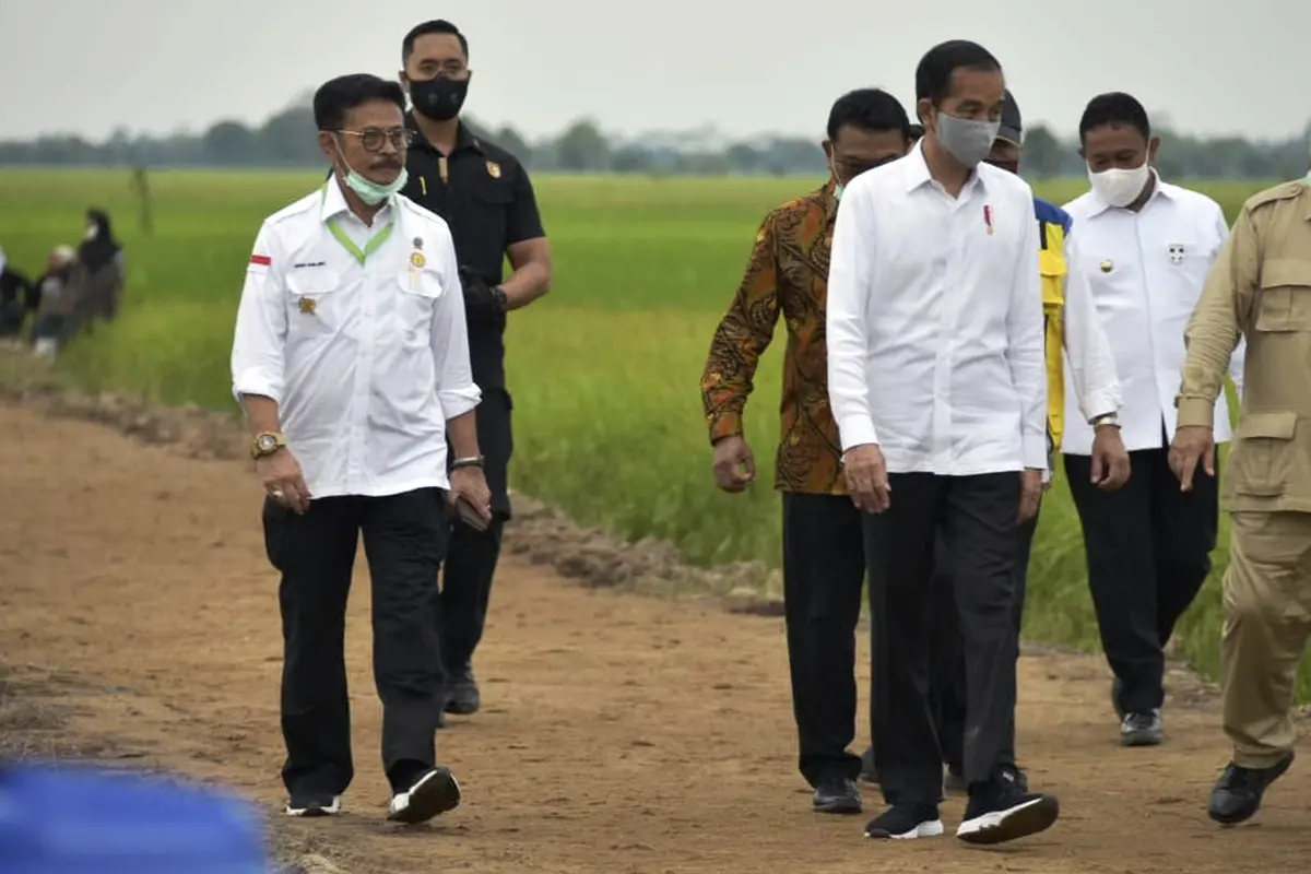 Dukung Ketahanan Pangan, Penyuluh Siap All Out Dukung Food Estate di Kalteng