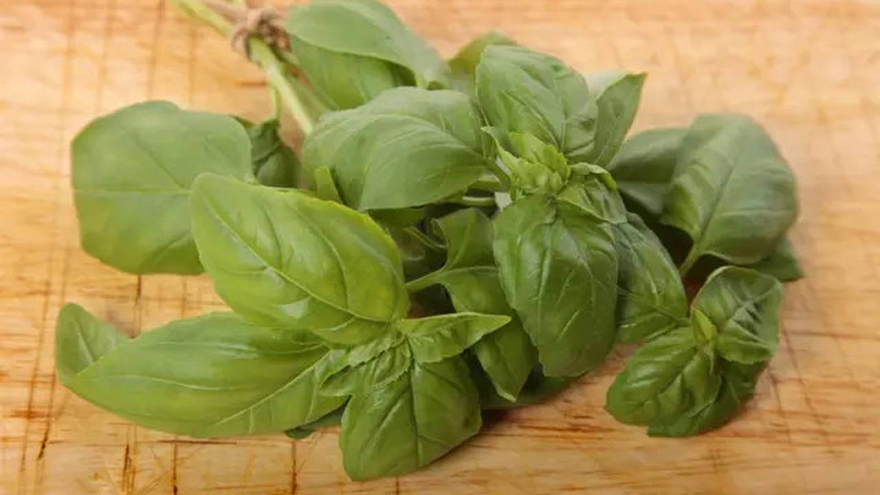 Bumbu Beku vs Bumbu Kering, Mana yang Lebih Tahan Lama?
