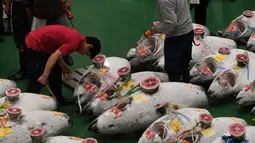 Aktivitas pelelangan ikan tuna pertama di pasar ikan Toyosu yang baru, pada hari pertama pembukaan di Tokyo, Kamis (11/9). Pasar ikan Toyosu menggantikan pasar ikan legendaris yang sudah mendunia, Pasar Tsukiji. (Toshifumi KITAMURA/AFP)