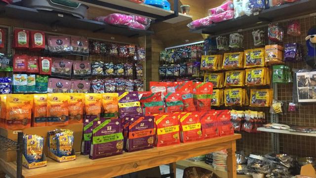 Groovy Pet Shop Kenalkan Tren Baru Memandikan Hewan