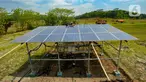 Petani membersihkan panel surya yang dipasang pada areal pertanian di Cikaduwetan, Kabupaten Kuningan, Jawa Barat, Rabu (23/8/2023). (merdeka.com/Arie Basuki)