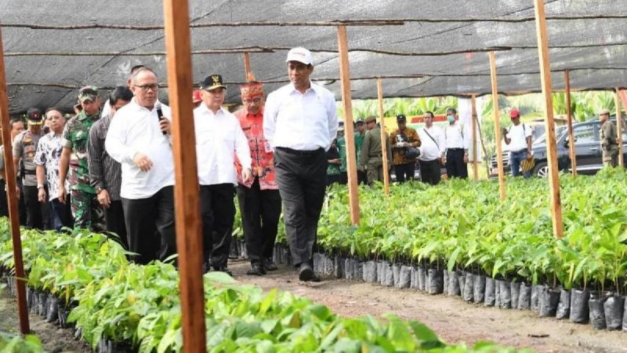 Fakta Unik: Mengapa Izin Benih Tanaman Kementan Diperketat? Demi Swasembada Pangan dan Lindungi dari Hama!