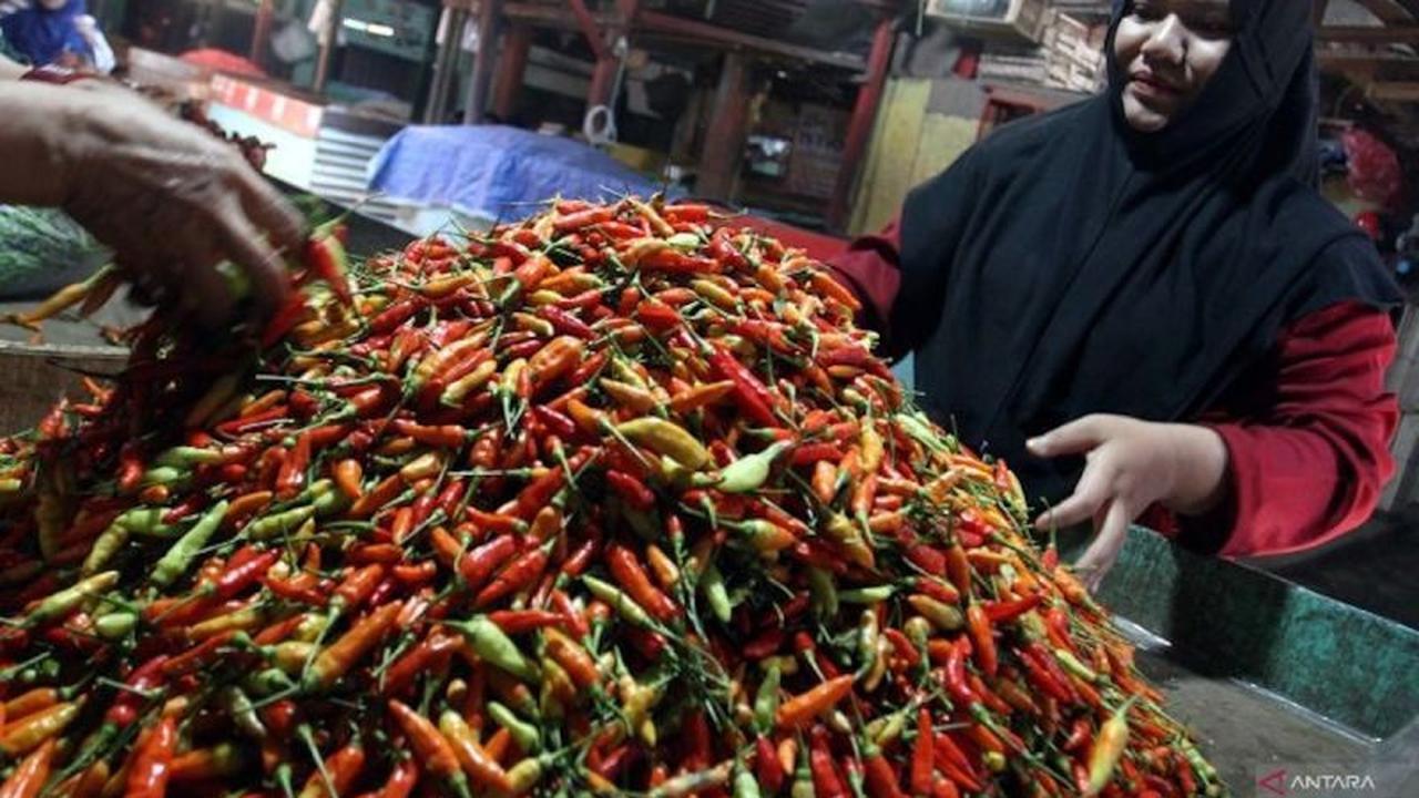 Tahukah Anda? Harga Pangan Nasional Turun: Cabai Rawit Rp44 Ribu, Bawang Merah Rp37 Ribu
