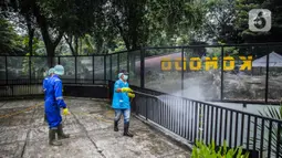 Petugas menyemprotkan cairan disinfektan di Taman Komodo TMII, Jakarta, Rabu (18/3/2020). Penyemprotan dilakukan untuk mengantisipasi penyebaran virus corona COVID-19. (Liputan6.com/Faizal Fanani)