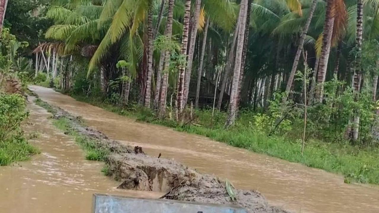 Dua Desa di Parigi Moutong Terendam Banjir, BPBD Sulteng Lakukan Penanganan Darurat