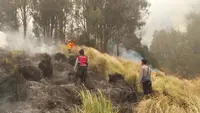 Kebakaran Gunung Bromo Berulang, Kemenhut Selidiki Dugaan Tindak Pidana