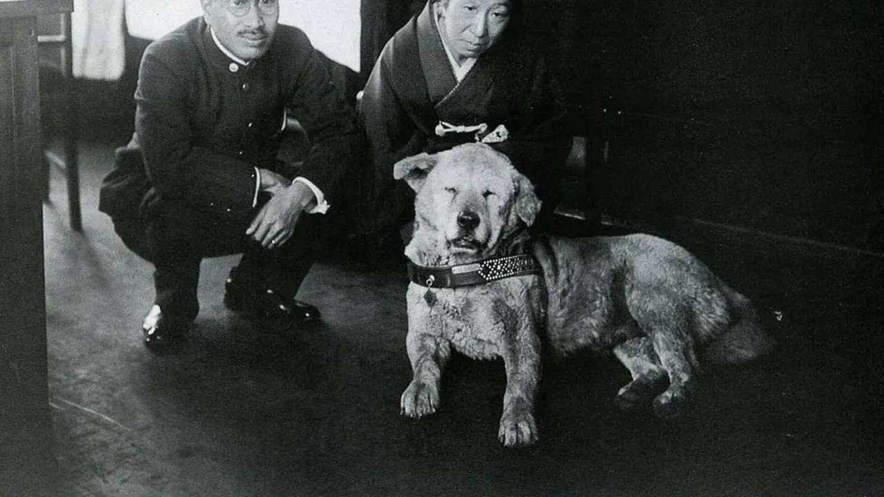1. Didirikan untuk Anjing paling Setia di Jepang