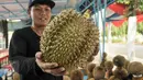 Pedagang menunjukan jenis durian montong di Loksem Pusat Penjualan Durian, Jalan TMP Kalibata, Jakarta Selatan, Kamis (9/2). Pemprov DKI Jakarta bangun Loksem Pusat Penjualan Durian di Kalibata. (Liputan6.com/Yoppy Renato)