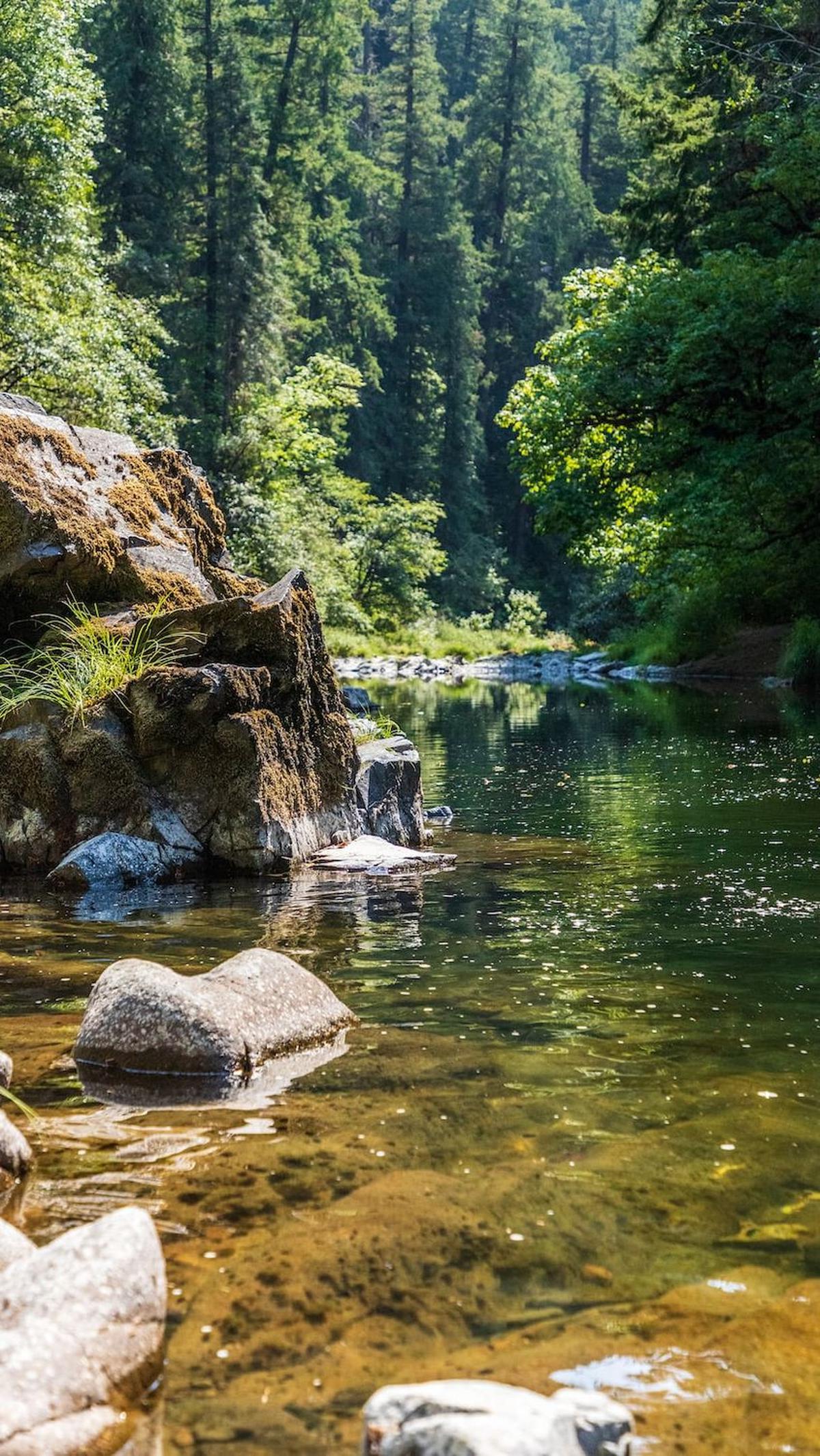 <b>Apapun yang Anda lakukan, pastikan bahwa kegiatan Anda tidak merusak atau mencemari sungai.</b>