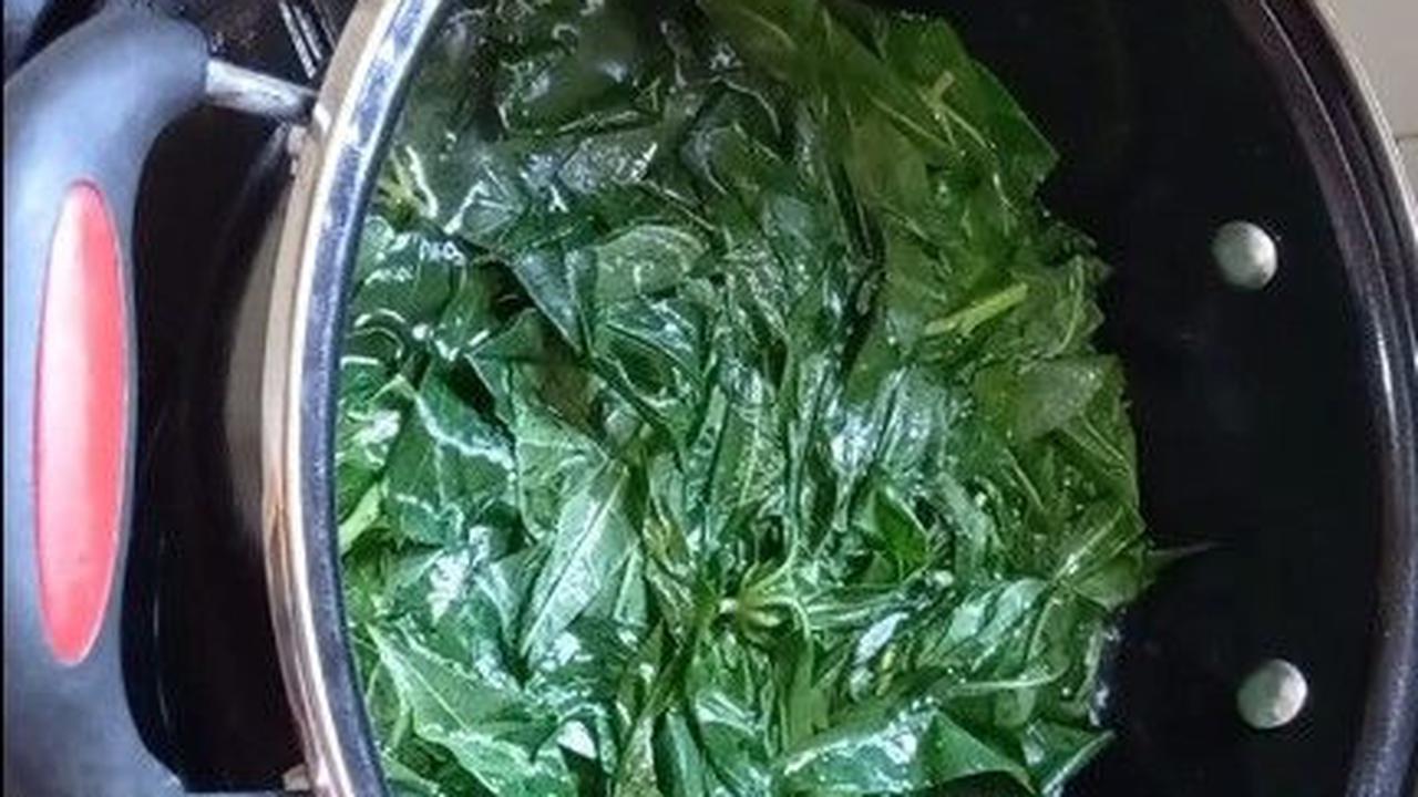 Rebus Daun SIngkong