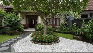 Focal Point Pohon Tropis – Satu Pohon Rindang & Semak Rendah. Foto: Gemini