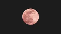 Fenomena Pink Moon Bisa Disaksikan Rabu Malam 1 April 2026, Ini Waktu Ideal untuk Melihatnya