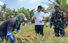 Bulog Sumut Targetkan Serap 62.718 Ton GKP untuk Jaga Stabilitas Harga 2026