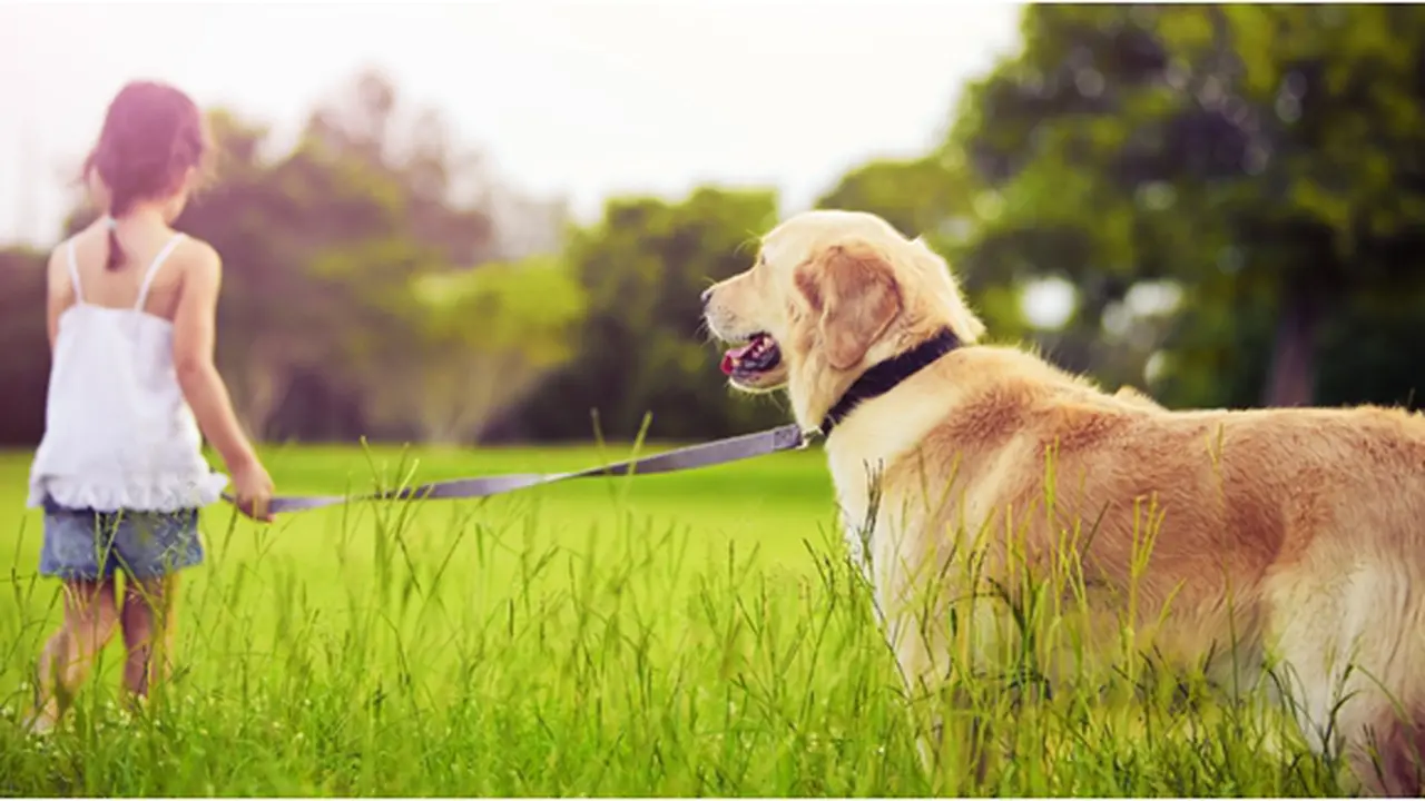 Courtesy ShutterStock.com
