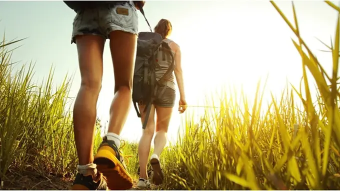 copyright by shutterstock.com