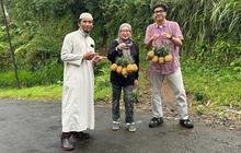 Manisnya Nanas Purbalingga: NanasQu Binaan Pertamina Gandeng 900 Petani Lokal Tembus Pasar Ekspor
