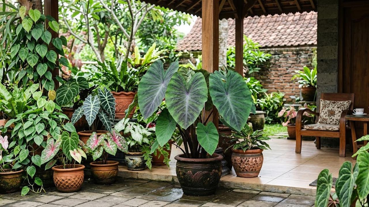 Colocasia/AI Generated