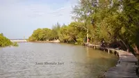 Ekowisata Wisata Mangrove di Kampoeng Nipah, Memukau dan Edukatif