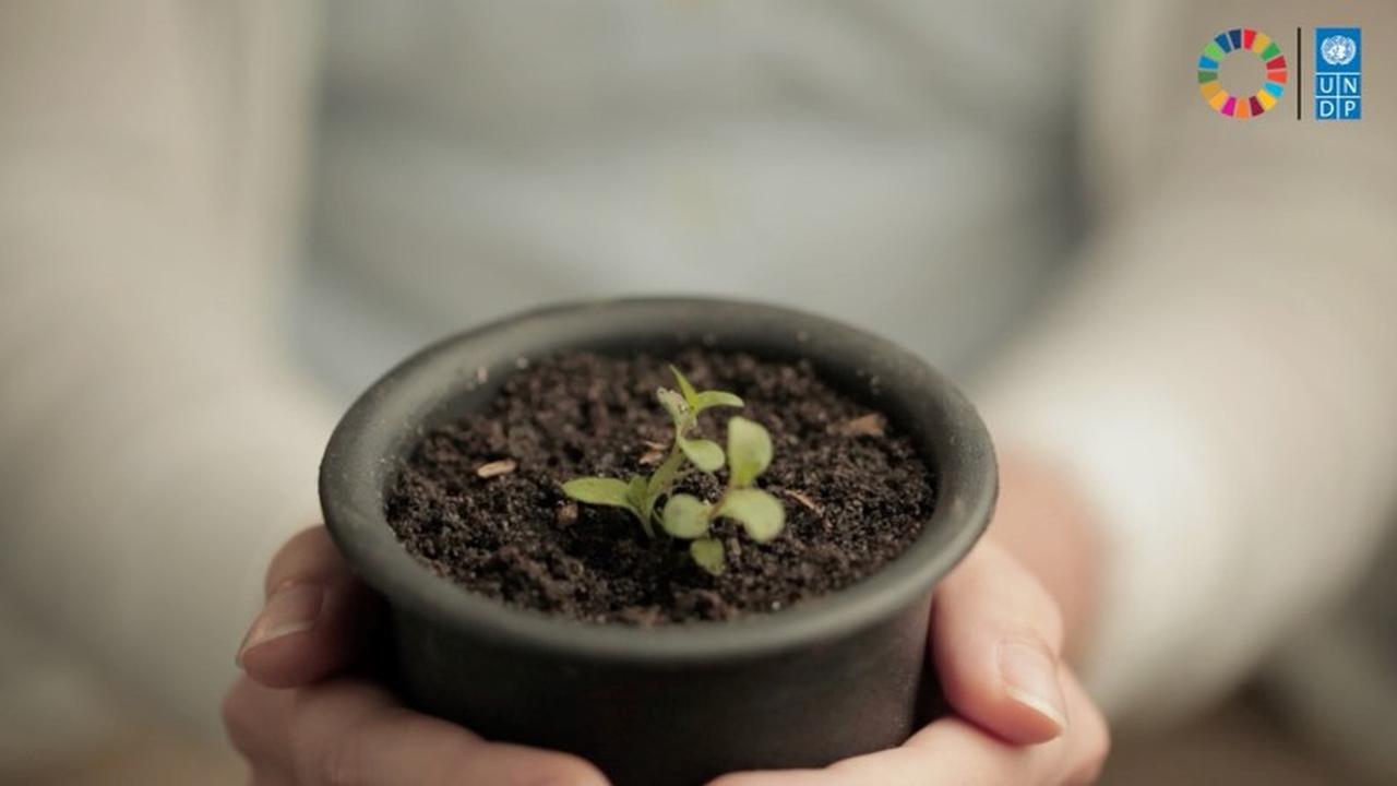 Hari Lingkungan Hidup Sedunia Menjadi Peringatan, Indonesia Termasuk Paling Rentan Terdampak Perubahan Iklim