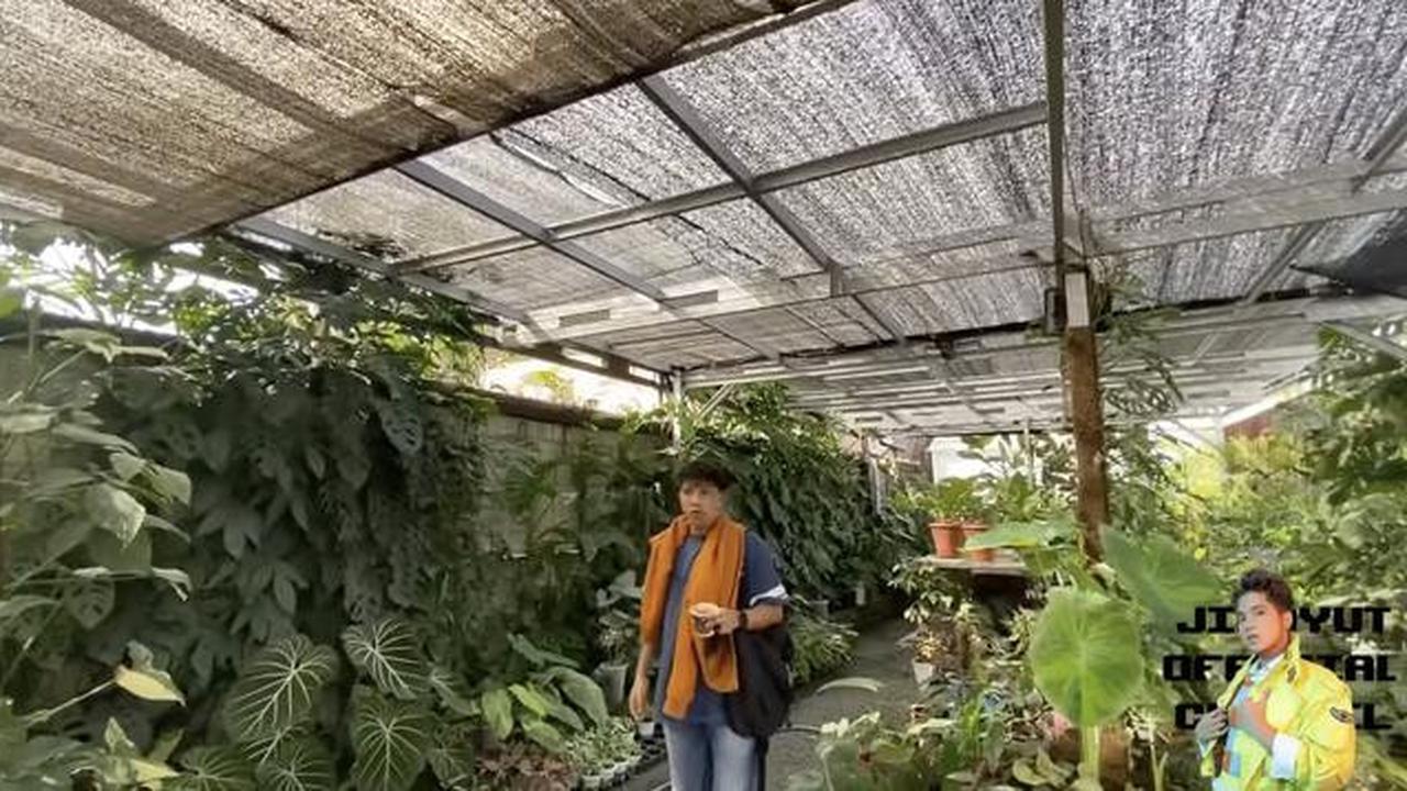 Potret Halaman Belakang Rumah Soimah di Jogja/Youtube/Jirayut Official Channel