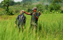 BRI Dorong Pemberdayaan UMKM dengan Salurkan KUR Rp83,88 Triliun, Pertanian Jadi Fokus Utama