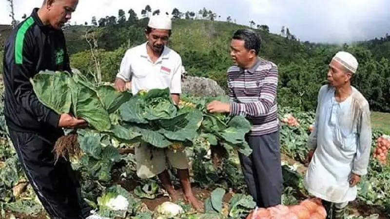 Cagub Sulsel, Nurdin Abdullah sedang meninjau hasil panen warga di Kabupaten Bantaeng (Liputan6.com/ Eka Hakim)