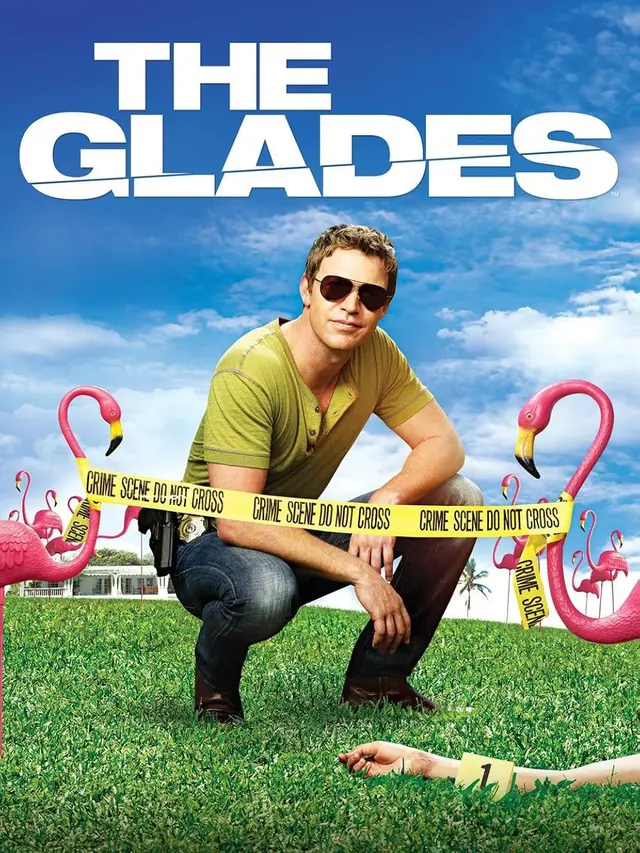 The Glades (2010 – 2013)