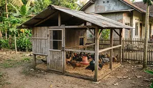 Kandang Ayam Kampung Sederhana untuk Mengejar Panen 4 Bulan, 5 Desain Hemat yang Bisa Dibuat Sendiri