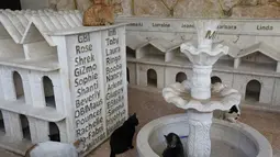 Sejumlah kucing berada dekat kandangnya di Suaka Kucing Ernesto di Kfar Naha, Suriah (17/3). Di tempat suaka ini ada 170 kucing yang dirawat dan diurus oleh Mohammed Alaa al-Jaleel. (AFP/Omar Haj Kadour)