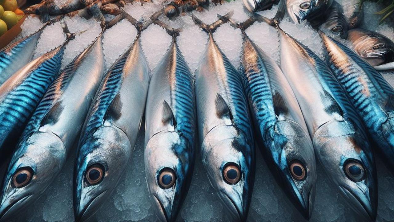 Pakar Gizi Sebut Kandungan DHA dari Ikan Tak Tergantikan oleh Sumber Makanan Lain