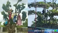 Potret nyeleneh orang di atas pohon (sumber: 1cak.com)