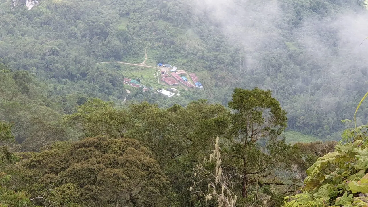Tambang Emas