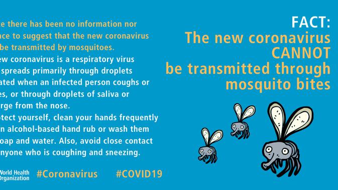 Coronavirus disease (COVID-19) advice for the public: Myth busters. (Foto: WHO)