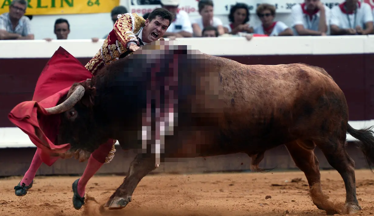 Matador Spanyol Daniel Luque saat menaklukkan seekor banteng Pedraza de Yeltes selama Festival Dax di Dax Arena, barat daya Prancis (14/8). (AFP Photo/Iroz Gaizka)