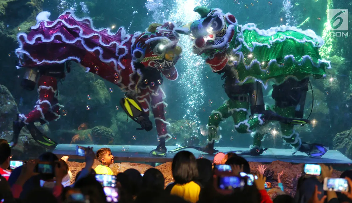 Pengunjung menyaksikan pertunjukkan barongsai di dalam air di Seaworld Ancol, Jakarta, Minggu (3/2). Pertunjukan dalam rangka memeriahkan Tahun Baru Imlek 2570 tersebut mengangkat tema "The Legend of 12 Shio". (Liputan6.com/Johan Tallo)