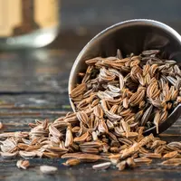 ilustrasi jintan/copyright Shutterstock