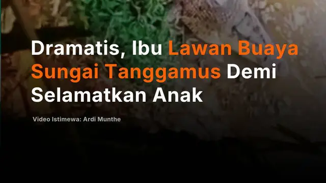 Dramatis, Ibu Lawan Buaya Sungai Tanggamus Demi Selamatkan Anak