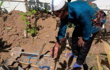 Sudah 1 meter, penggalian liang kubur jenazah Febby dihentikan