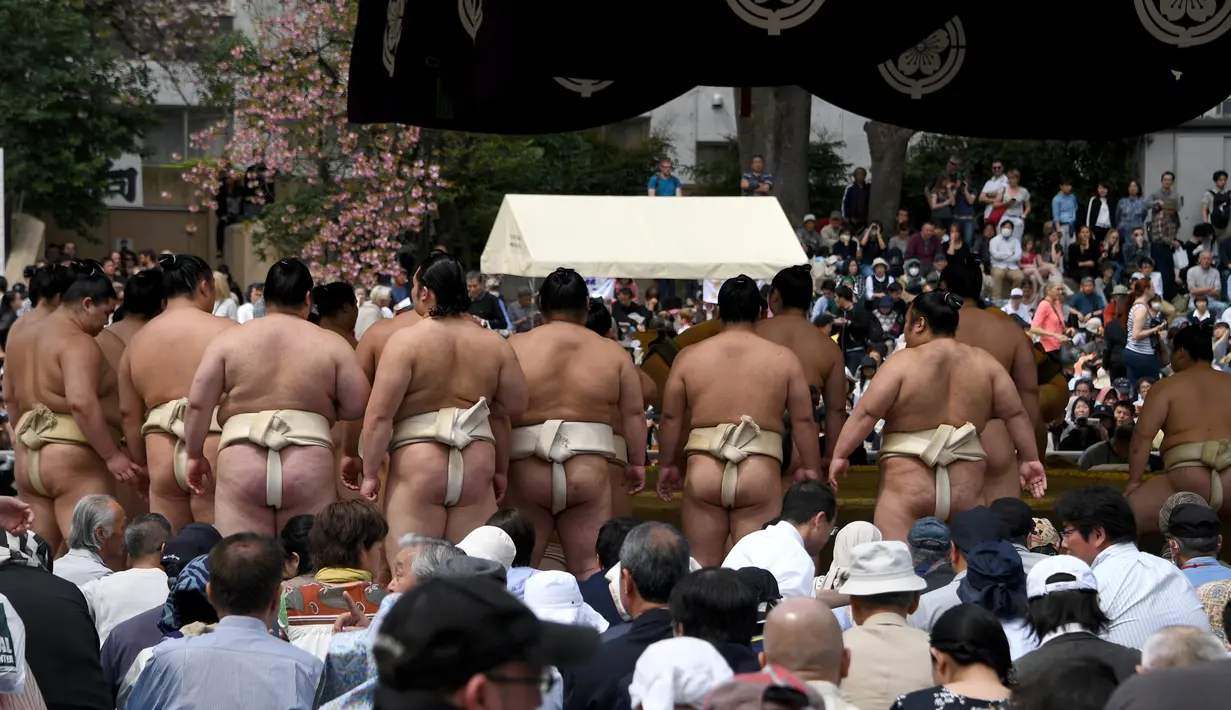Para pegulat sumo melihat dua pegulat bertarung dalam turnamen Honozumo di Kuil Yasukuni, Tokyo, Senin (17/4). Selain ajang kejuaraan olahraga tradisional jepang, kejuaraan tahunan itu juga menjadi daya tarik wisata. (AFP Photo / Toshifumi Kitamura)