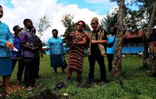 Pemprov Ajak Generasi Muda Papua Pegunungan Tanam Pohon, Jaga Keseimbangan Alam