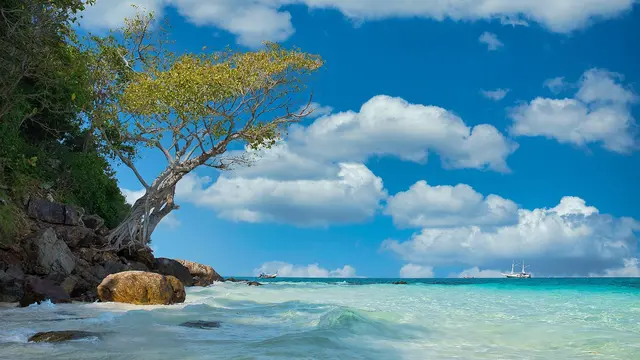 Ilustrasi pantai